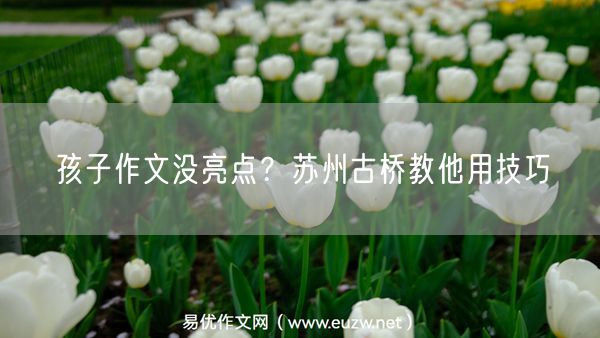 孩子作文没亮点？苏州古桥教他用技巧