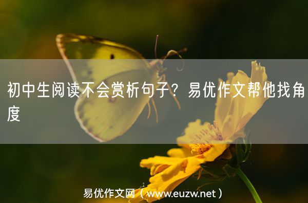 初中生阅读不会赏析句子？易优作文帮他找角度