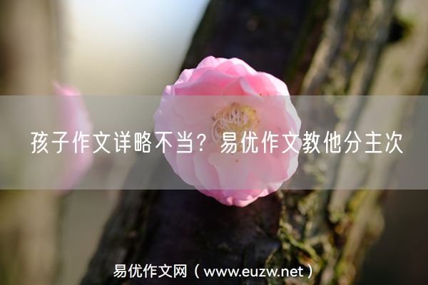 孩子作文详略不当？易优作文教他分主次