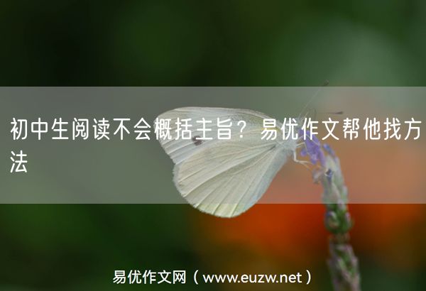 初中生阅读不会概括主旨？易优作文帮他找方法
