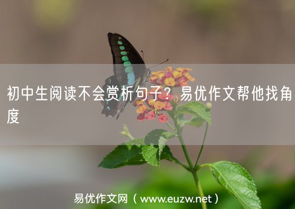 初中生阅读不会赏析句子？易优作文帮他找角度