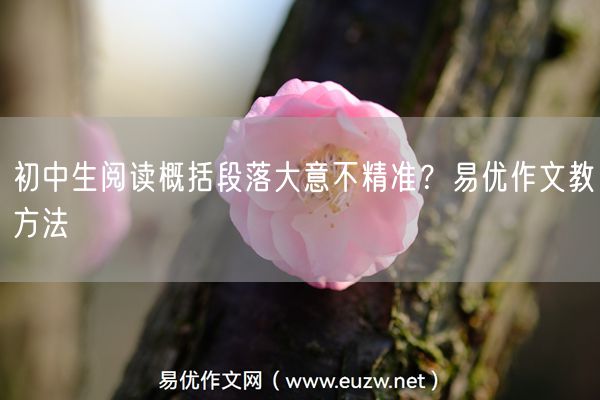 初中生阅读概括段落大意不精准？易优作文教方法