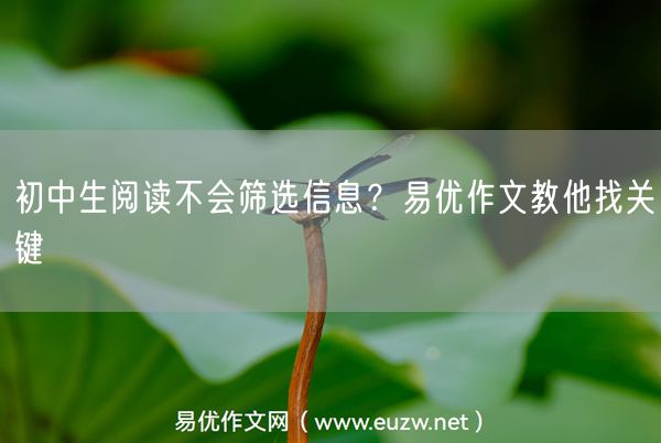 初中生阅读不会筛选信息？易优作文教他找关键