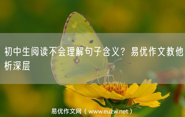 初中生阅读不会理解句子含义？易优作文教他析深层