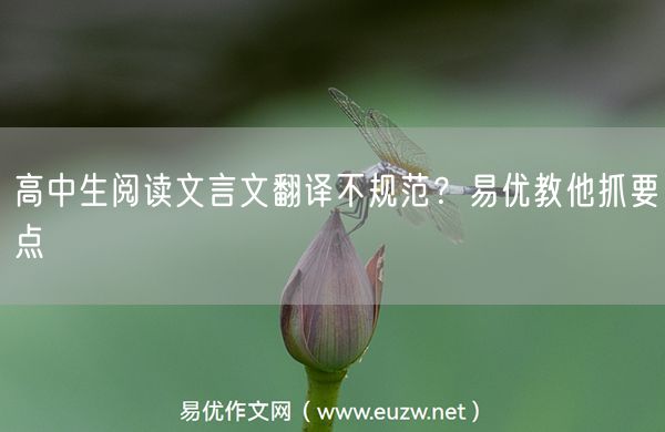 高中生阅读文言文翻译不规范？易优教他抓要点