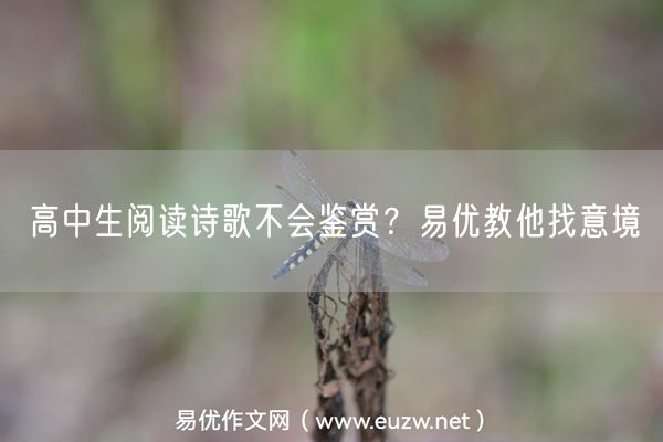 高中生阅读诗歌不会鉴赏？易优教他找意境