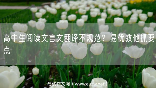 高中生阅读文言文翻译不规范？易优教他抓要点