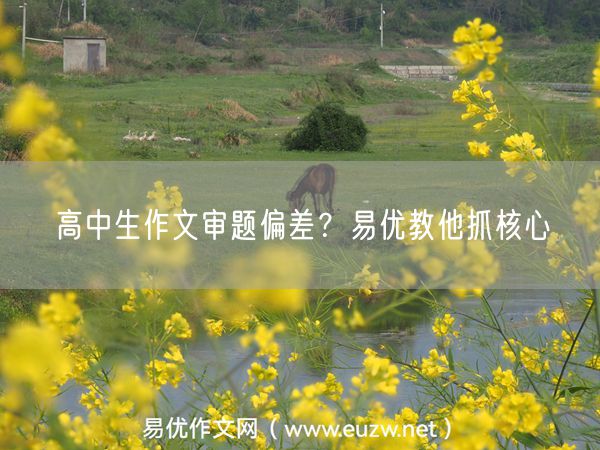 高中生作文审题偏差？易优教他抓核心