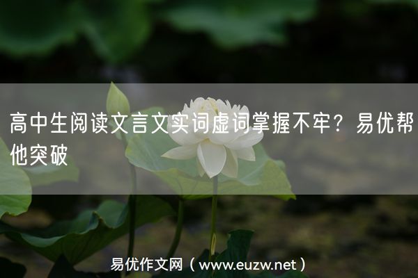高中生阅读文言文实词虚词掌握不牢？易优帮他突破