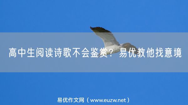 高中生阅读诗歌不会鉴赏？易优教他找意境