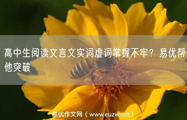 高中生阅读文言文实词虚词掌握不牢？易优帮他突破