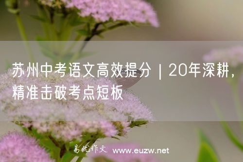 苏州中考语文高效提分｜20年深耕，精准击破考点短板